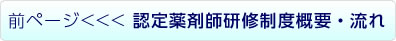 前ページ<<<認定薬剤師研修制度概要・流れ